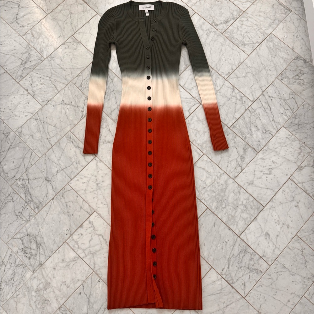 Derek Lam 10 Crosby Ombre Button-Down Dress